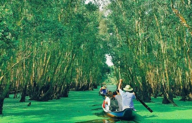 Rowing in the Tra Su Melaleuca Forest